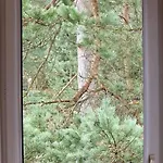 Przestronny, Komfortowy Dom Tatil Evi *