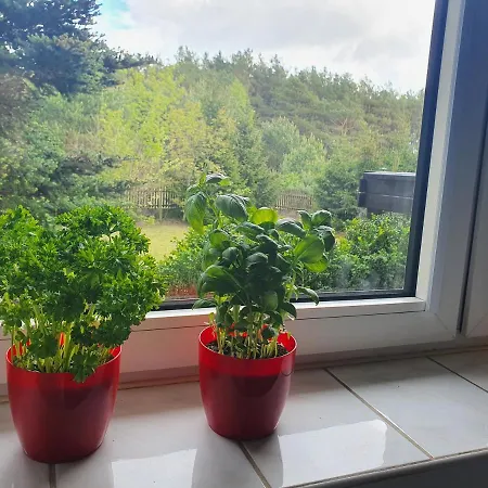 Przestronny, Komfortowy Dom Casa vacanze Swornegacie