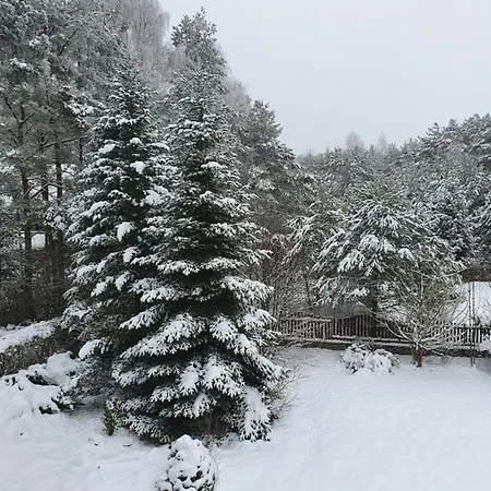 Przestronny, Komfortowy Dom * סבורנגאצ'יה