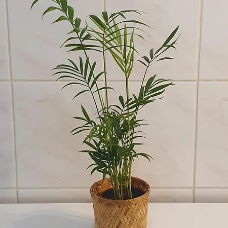 Przestronny, Komfortowy Dom Casa vacanze