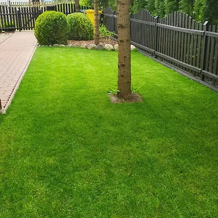 Przestronny, Komfortowy Dom