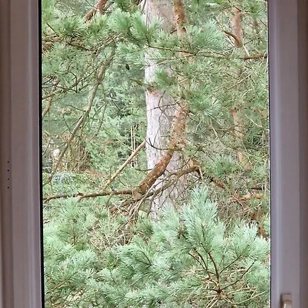 Przestronny, Komfortowy Dom Holiday home *