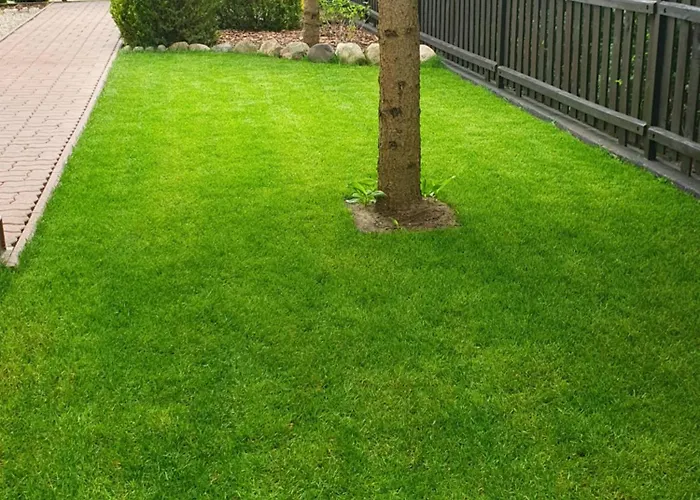 Przestronny, Komfortowy Dom